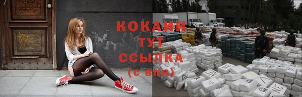 молекула духа Богородицк