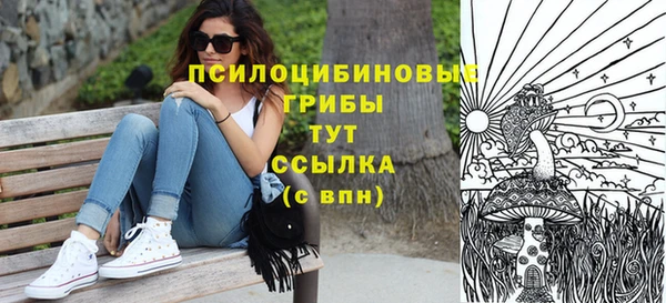 твердый Белокуриха