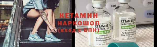 сатива Беломорск
