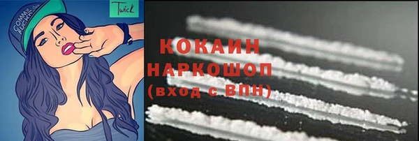 молекула духа Богородицк