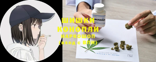 сатива Беломорск
