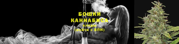 крисы Богданович