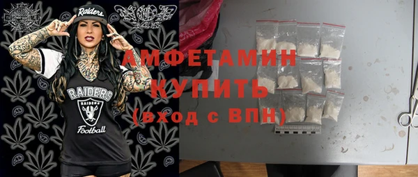 сатива Беломорск