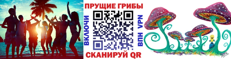 как найти наркотики  Вязники  Псилоцибиновые грибы GOLDEN TEACHER 