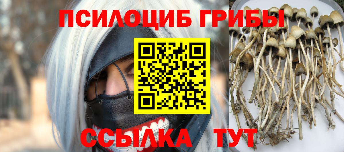 Галлюциногенные грибы ЛСД  Вход с VPN  где найти   Вязники 